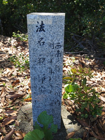 P5271158
