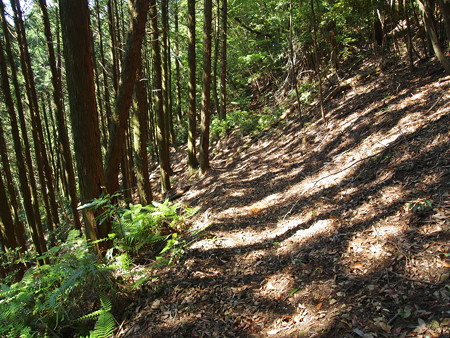 P5271163