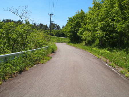 P5281237