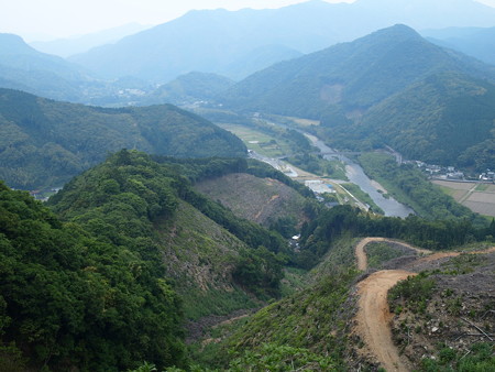 P6011436