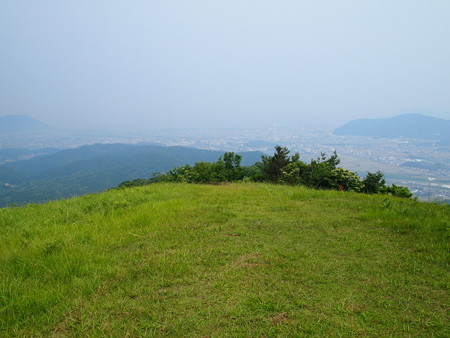 P6011442