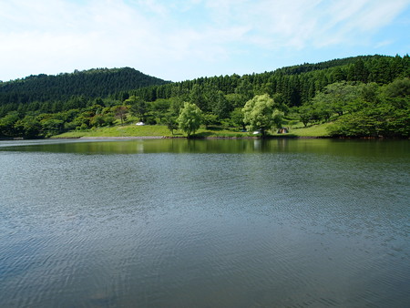 P6041557