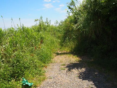 P6101797