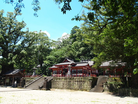 P7162162