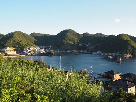 P7162259