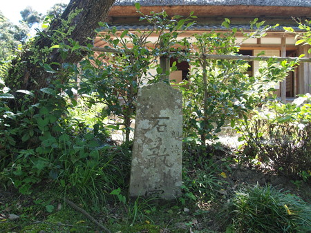 P7172451