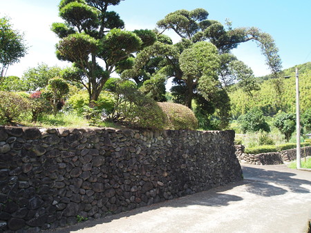 P7172457