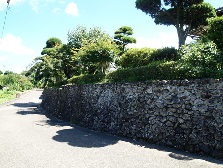 P7172460