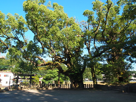 P7162238