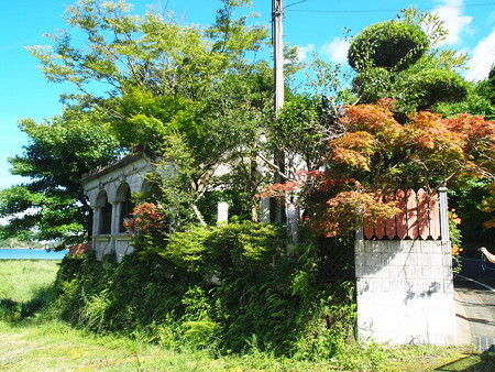 P7172506
