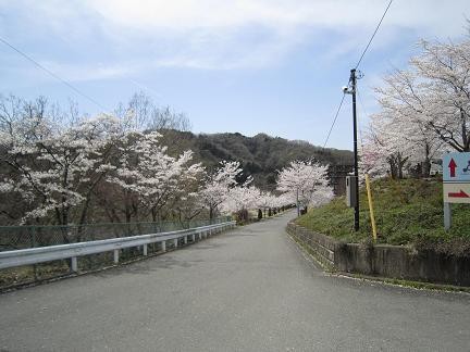 高台の上にある花の湯