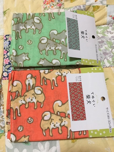 今年バージョン