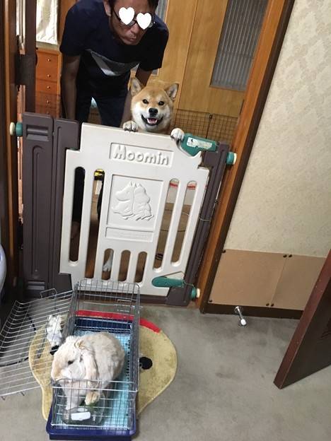 母撮影