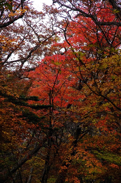 写真00114