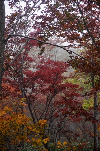 写真00144