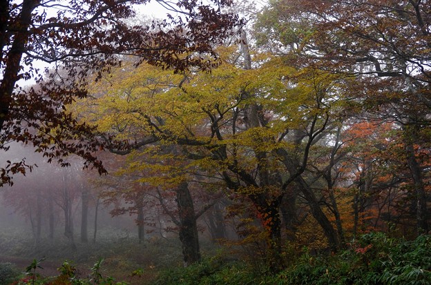 写真00147