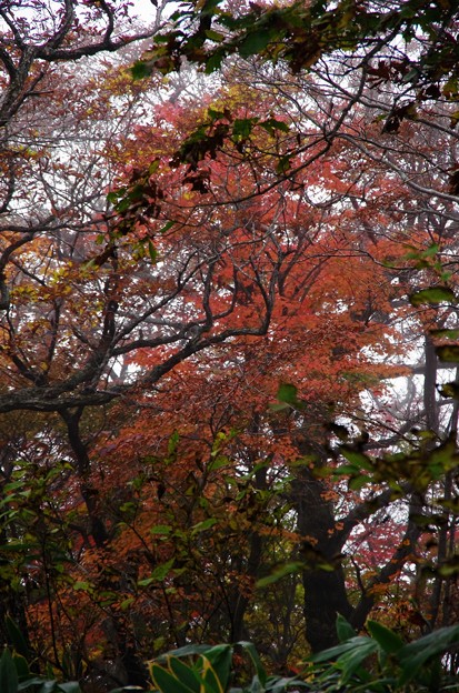 写真00151