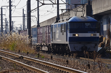 IMGP7874