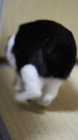 おちり1