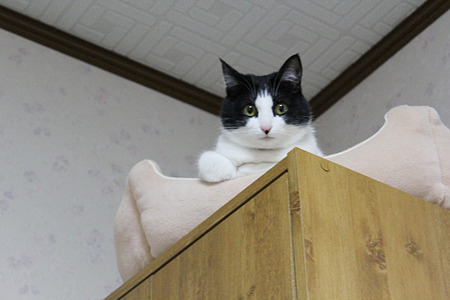 ベッドの上