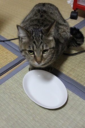 おやつ