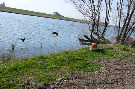 P1030091