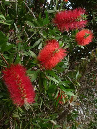 P1160691
