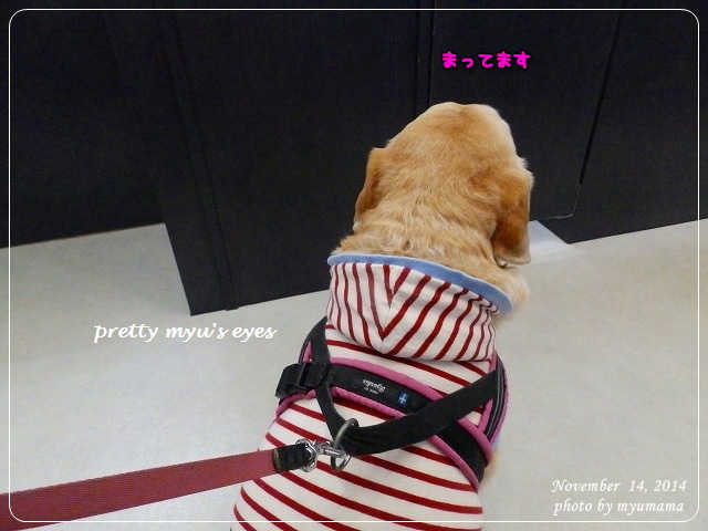 写真: s-023