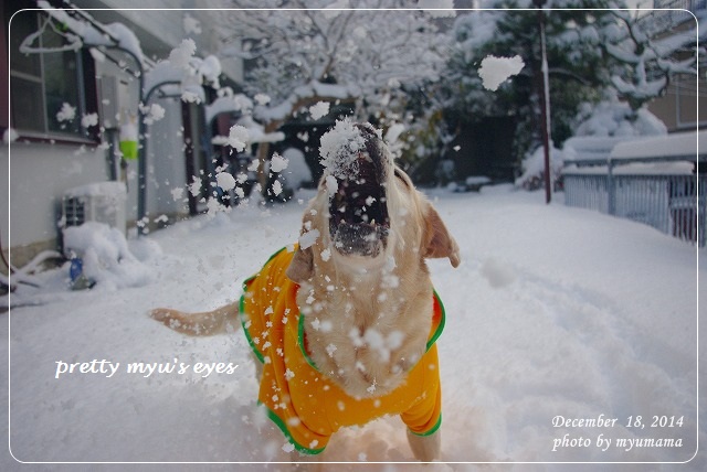 写真: s-037