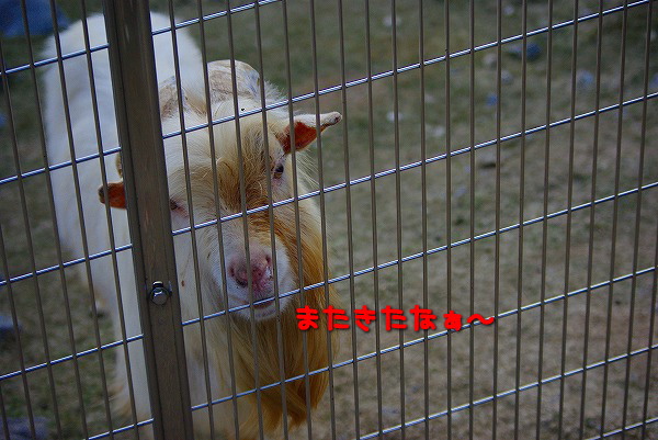 s-myu2009_1227_2 s-myu2009_1227_2