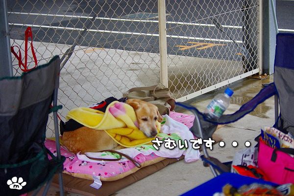 s-myu2009_1228_12 s-myu2009_1228_12