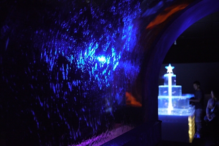 サンシャイン水族館 AquaFantasia 入口
