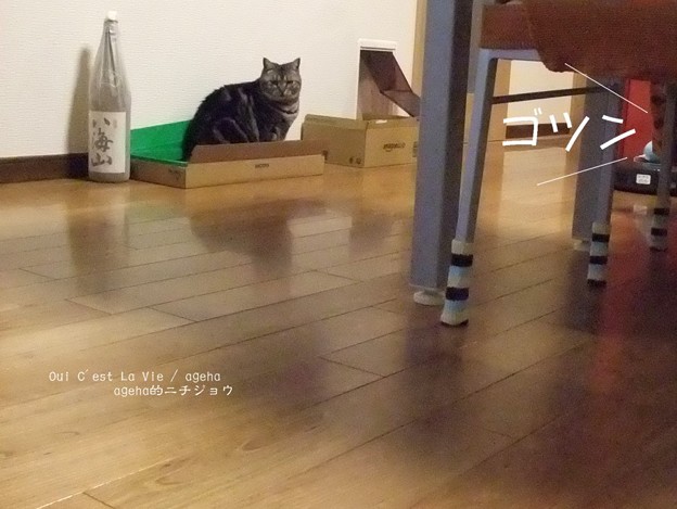 猫とルンバとスライムと６