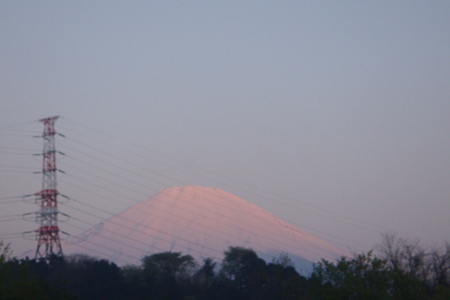 富士山
