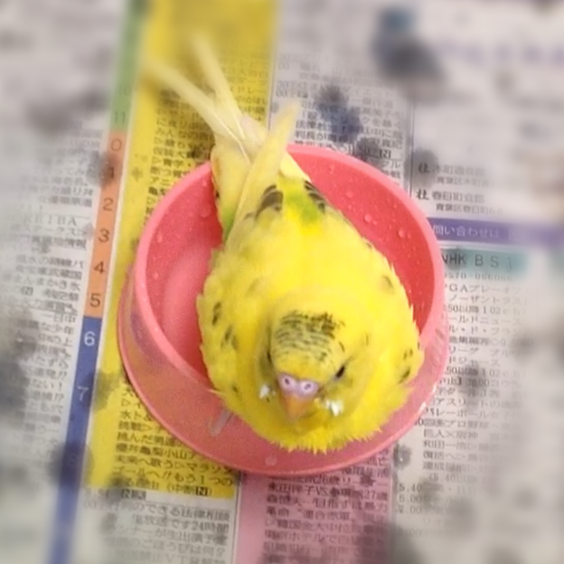 初めて