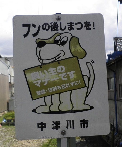 犬糞～中津川市