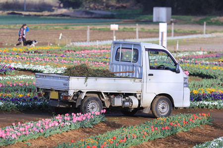 公園を作っている、はたらく車