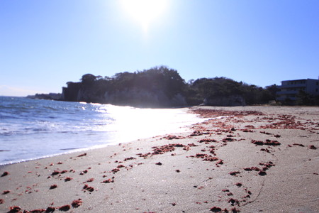 海岸