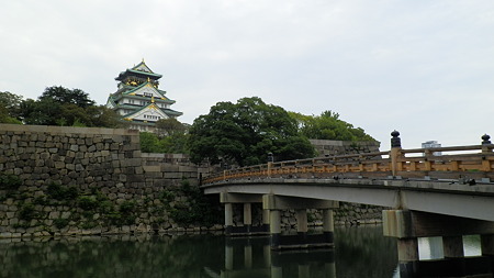 P6030493