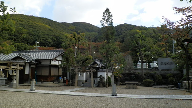 PB038691