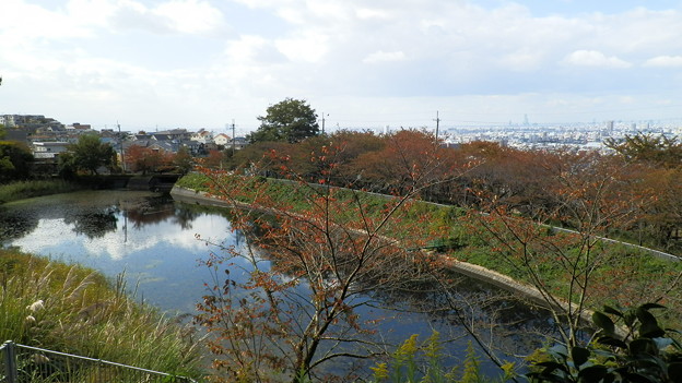 PB038709