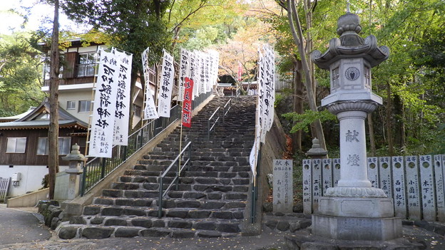 PB038738