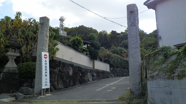 PB038734