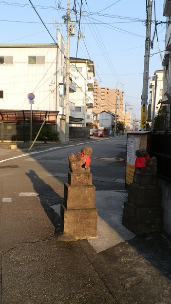 PC309354