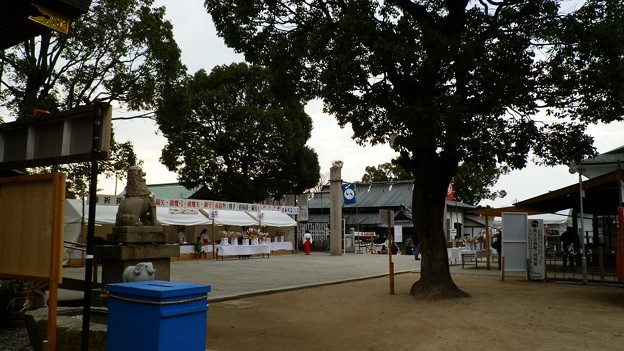 P1109525