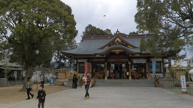 P1109520