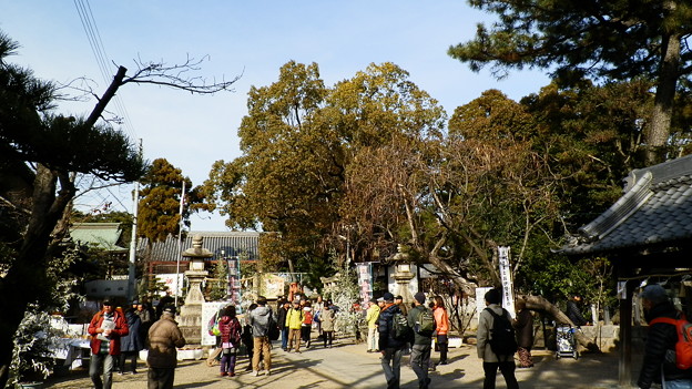 P1079476