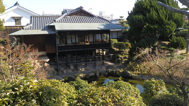 P1139591