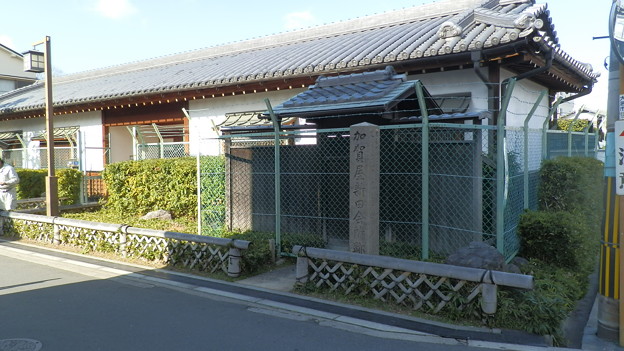 P1139573