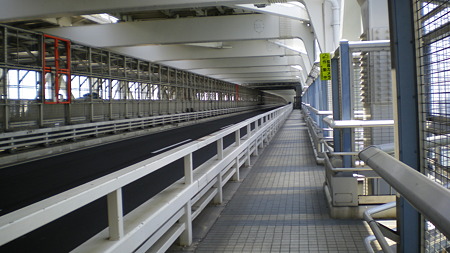 IMGP5063